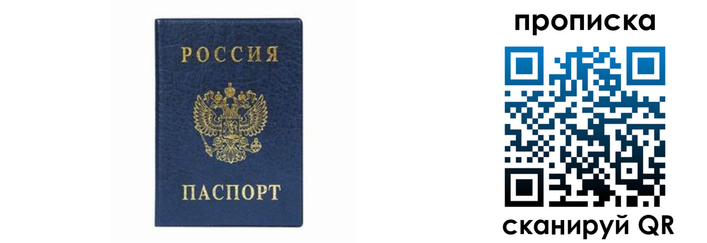временная регистрация поиск в Сосновоборске